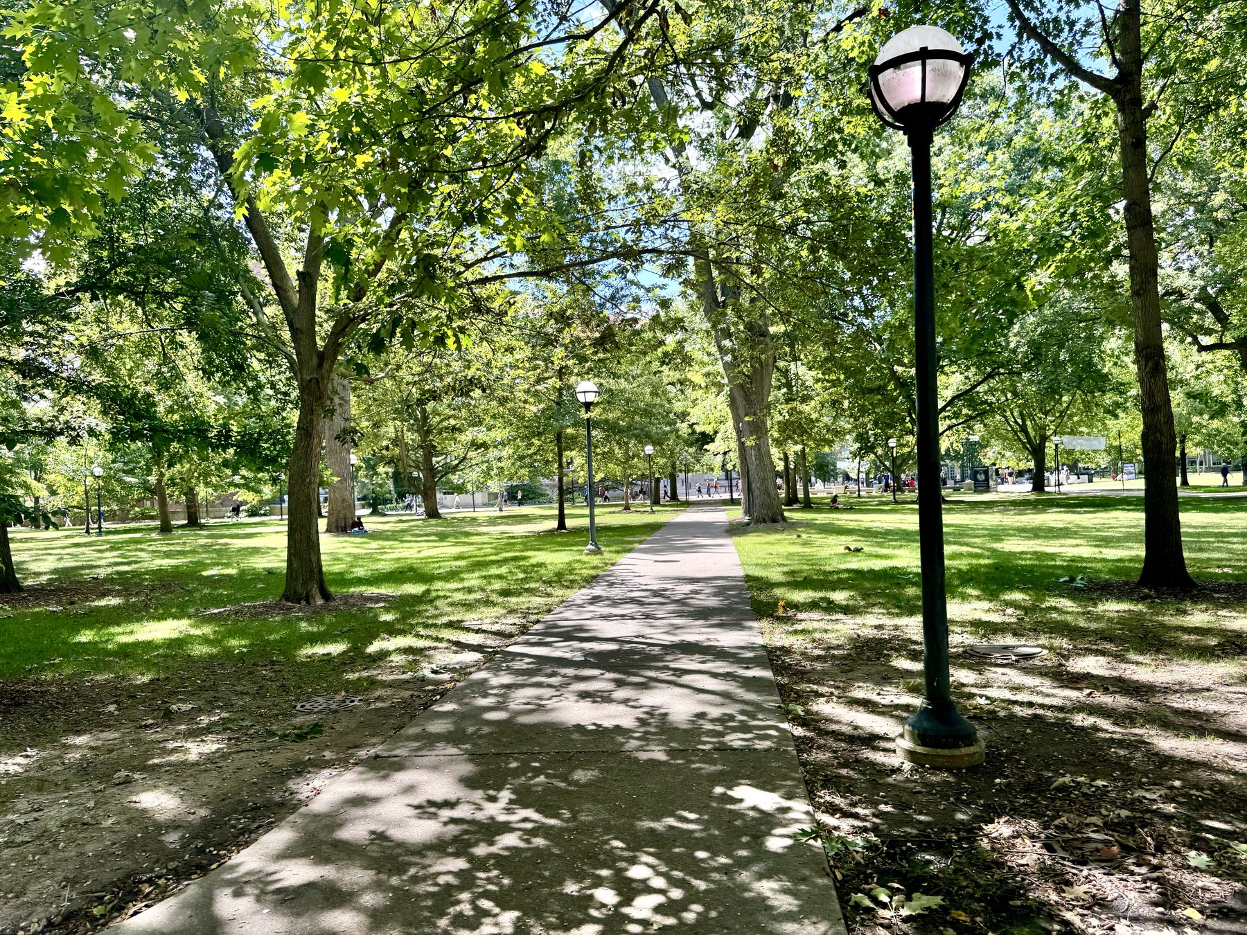 The University of Michigan Diag
