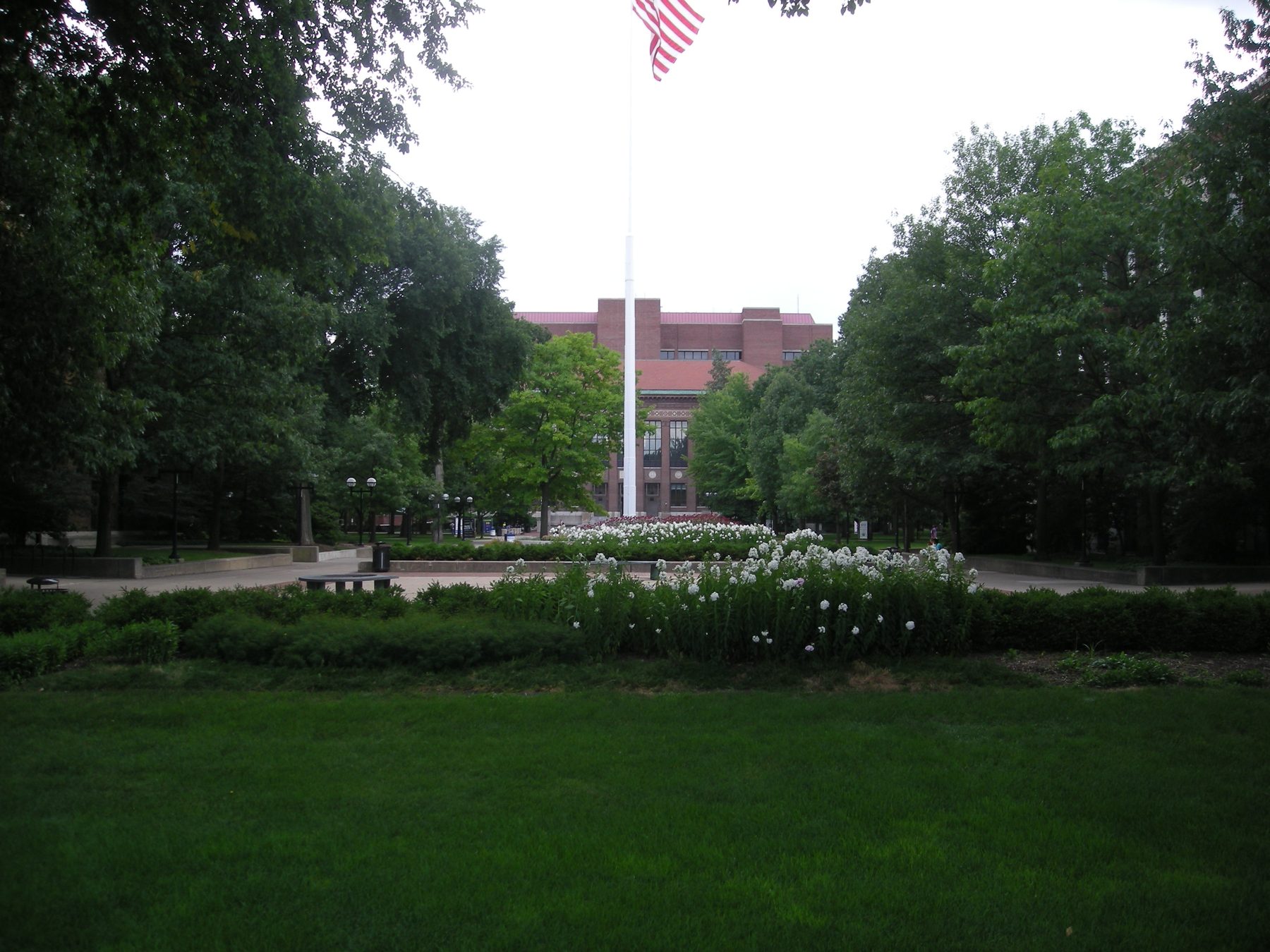 The Diag on the University of Michigan campus