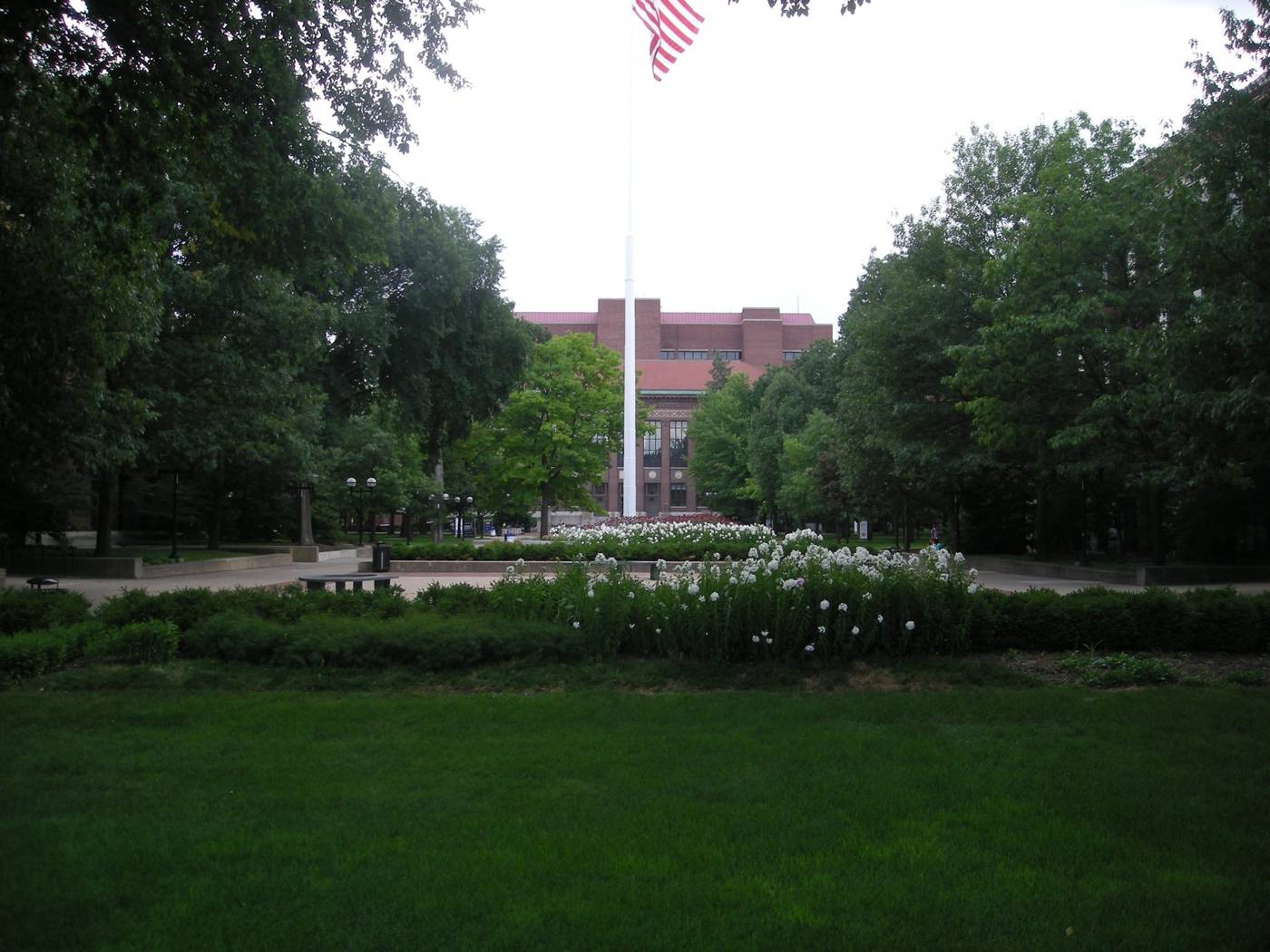The Diag on the University of Michigan campus